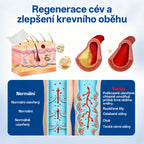 GFOUK® VeinTarget Microneedle Patch |⚡ Okamžitá úleva, dlouhodobé výsledky