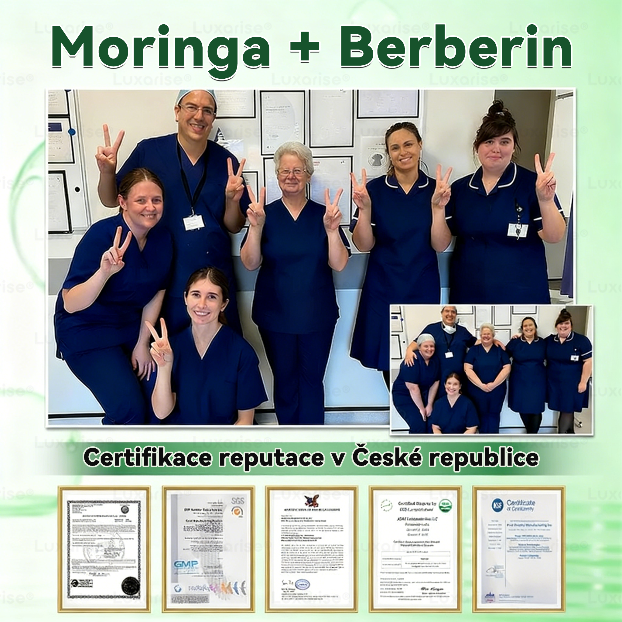 Oficiální obchod  |👩‍⚕️𝗟𝘂𝘅𝗮𝗿𝗶𝘀𝗲® MORINGA X BERBERIN  10-IN-1 Pokročilý Nano Mikrojehly Náplast(Jedna náplast denně, viditelné změny již za 7 dní) ✅ Pomáhá při obezitě, cukrovce, spánkové apnoe, problémech s klouby a dalších potížích🌺